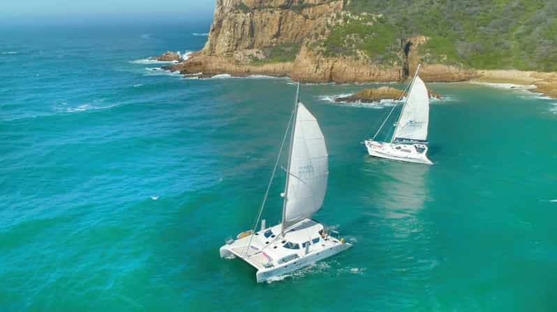 knysna catamaran cruise