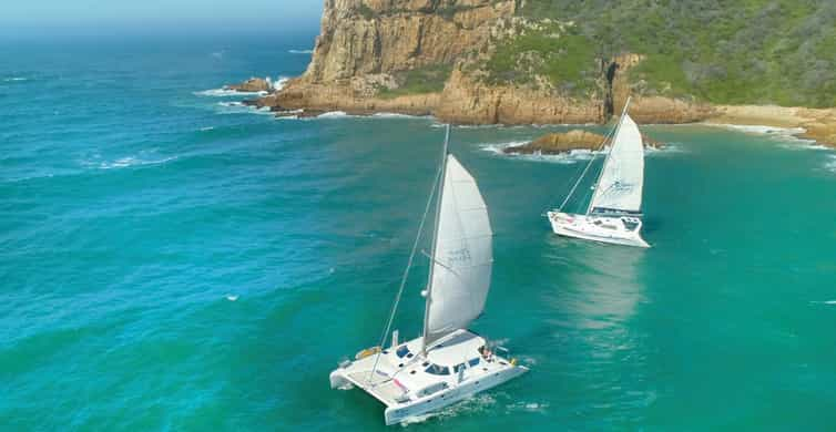 knysna catamaran cruise