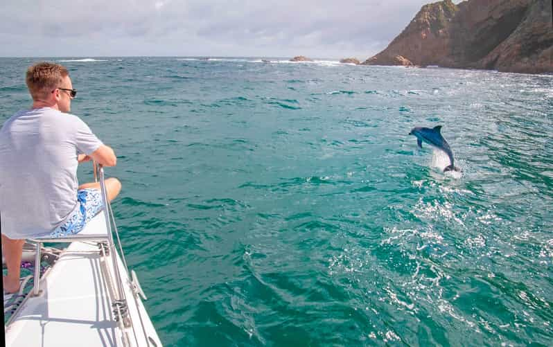 knysna catamaran cruise