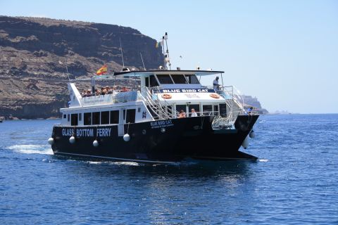 Gran Canaria : Croisière en catamaran pour observer les dauphins avec plongée en apnée