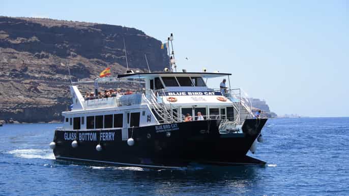 Gran Canaria: crucero en catamarán para avistas delfines y esnórquel