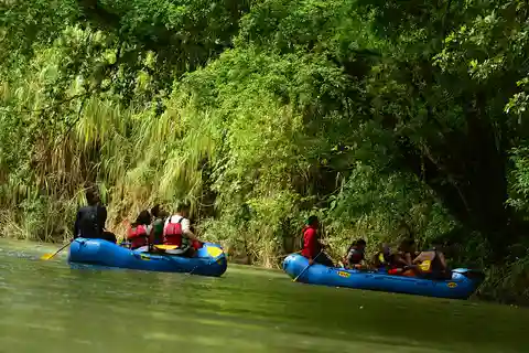 Från La Fortuna: Penas Blancas River Float guidad dagstur