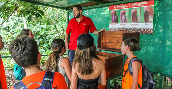 From La Fortuna: Coffee and Chocolate Farm Tour with Tasting