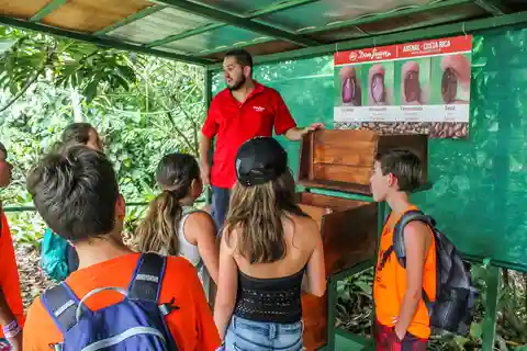 From La Fortuna: Coffee and Chocolate Farm Tour with Tasting