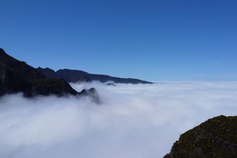 Vanuit Funchal of Caniço: dagtour met gids door Oost-Madeira