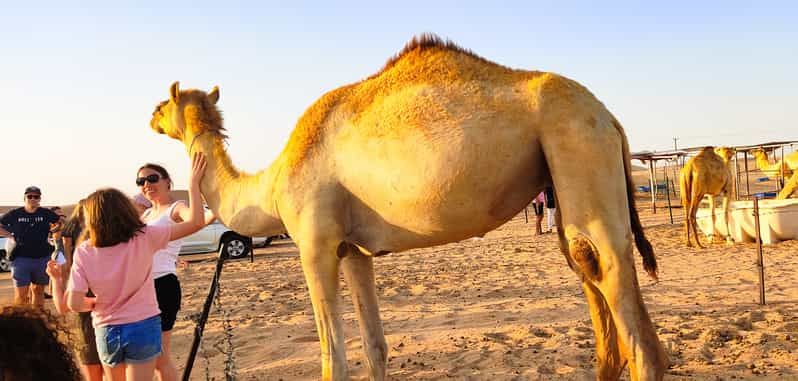 Abu Dhabi Desert Safari With Bbq Belly And Tannura Dance Getyourguide 0501