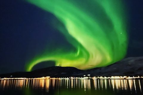 Tromso: Northern Lights Catamaran Cruise w/ Snacks & Drinks