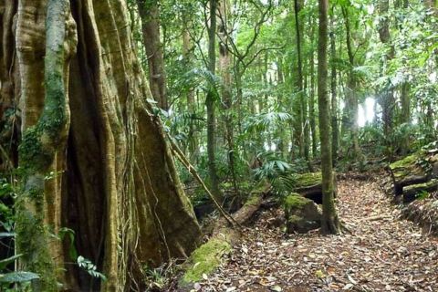 Monteverde: Curi-Cancha Reserve Tour with Entry Ticket