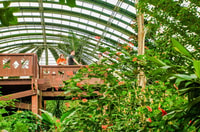 Monteverde, Zip Line, Ponts et Butterfly Garden Tour - Hizvo
