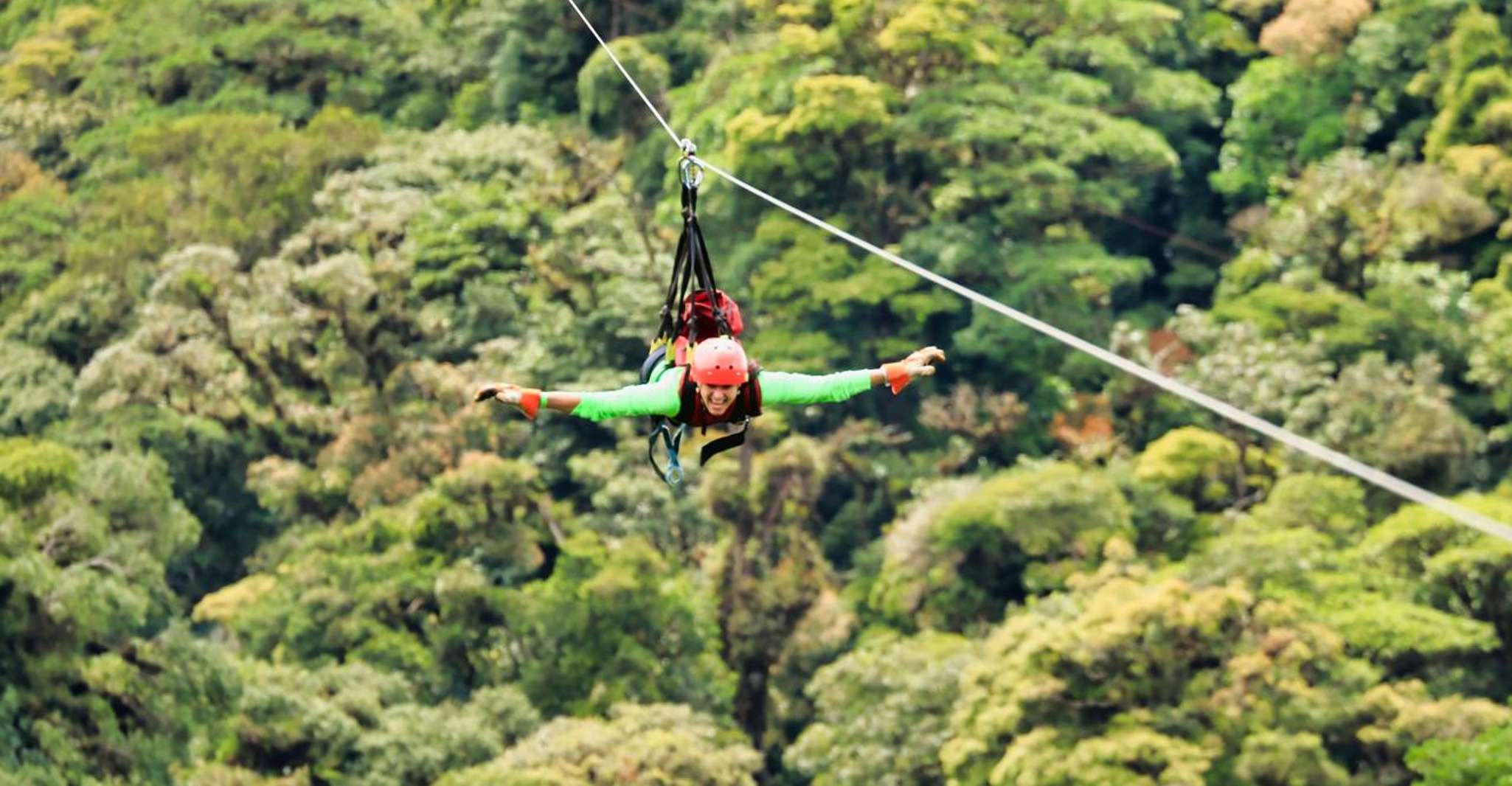 モンテベルデ、ジップライン、ブリッジ、バタフライガーデンツアー - Hizvo