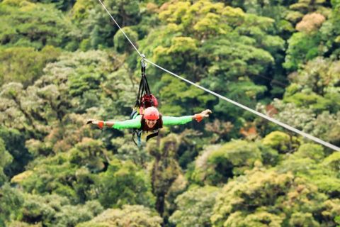 Monteverde: recorrido en tirolesa, puentes y jardín de mariposas