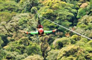 Monteverde: Zip Line, Brücken und Schmetterlingsgarten-Tour