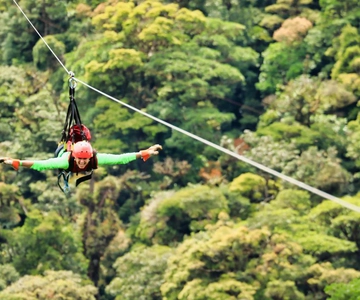 Monteverde: Zip Line, Bridges, and Butterfly Garden Tour