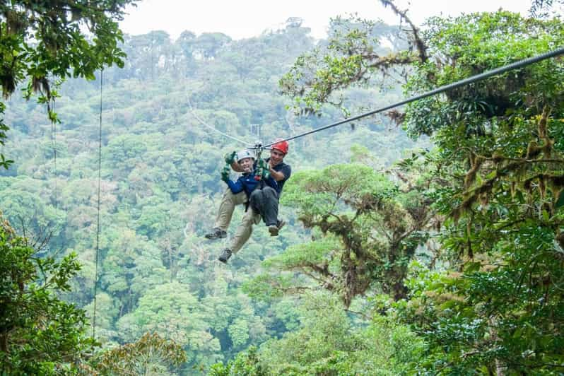 Monteverde: 3-in-1 Sky Tram, Sky Trek And Sky Walk | GetYourGuide