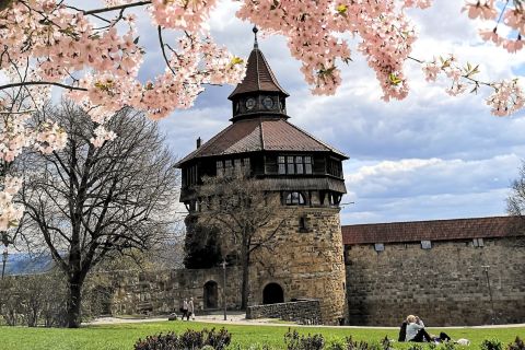 Esslingen: Self-guided tour to the castle