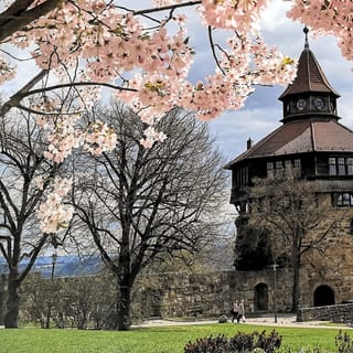 Esslingen: Self-guided tour to the castle