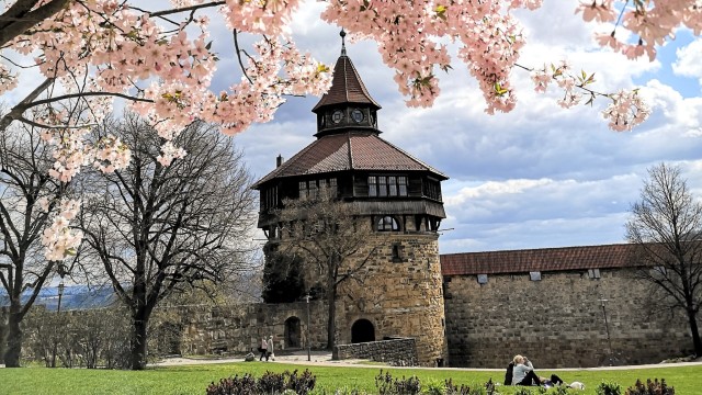 Visit Esslingen Self-guided tour to the castle in Metzingen