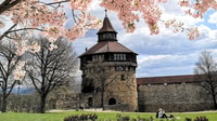 Esslingen, Self-guided tour to the castle - Housity