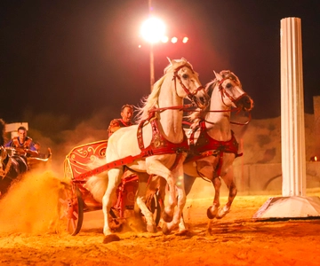 Alicante: Villajoyosa Gran Circus Maximus Ticket de entrada