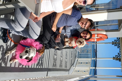 Boston: Disfraz de Halloween apto para perros y crucero turístico