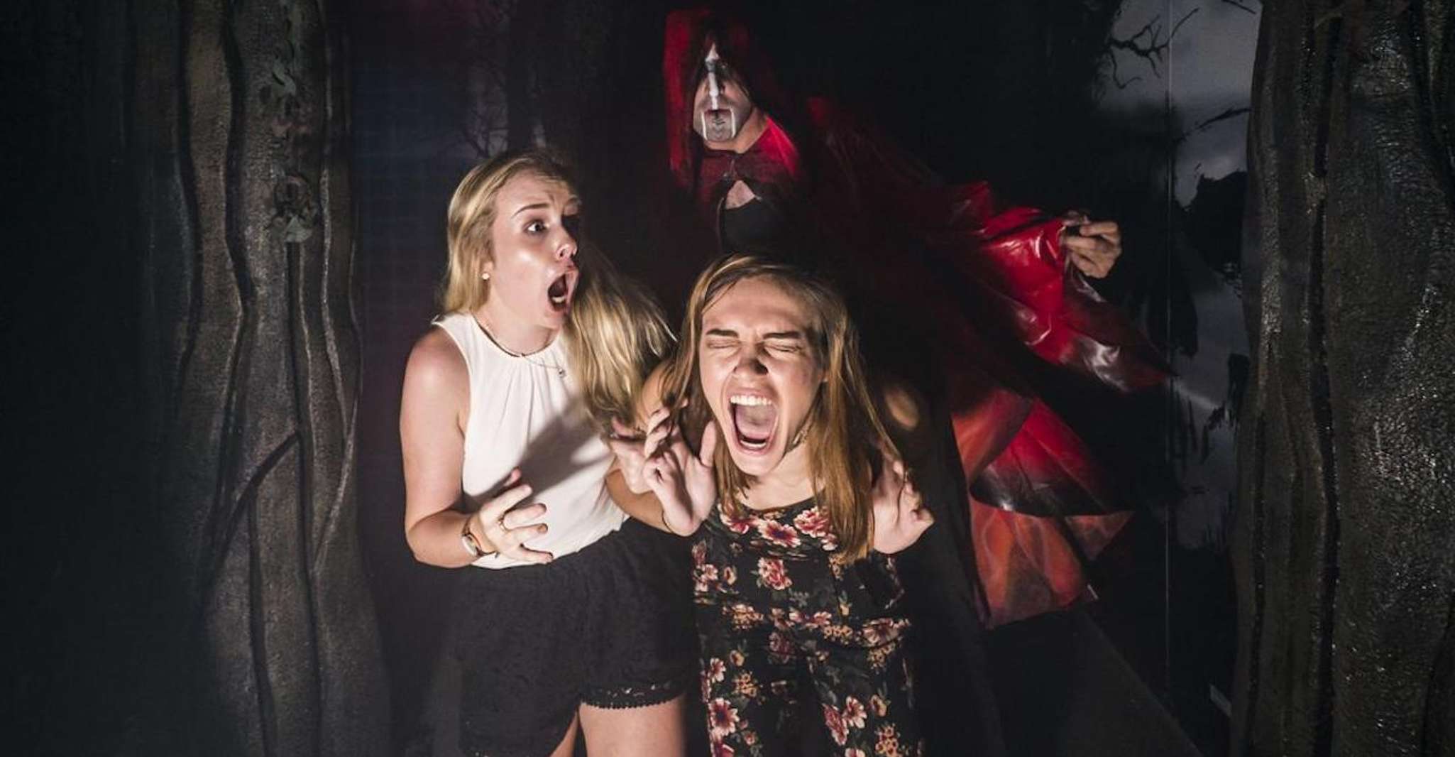 San Antonio: SeaWorld Skip-the-Line Park Admission Ticket photo 4