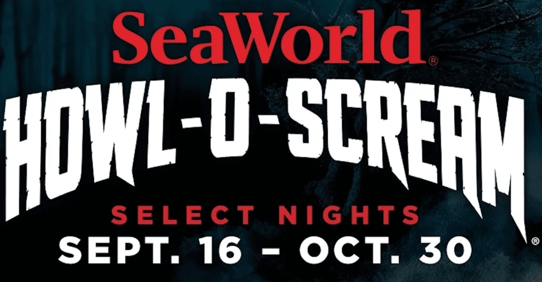 San Antonio: SeaWorld Skip-the-Line Park Admission Ticket photo 2