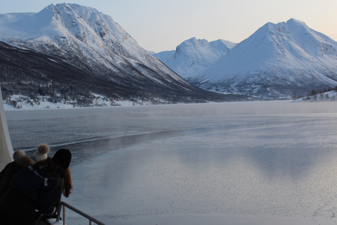 Tromso: Gefrorene Fjord-Yachtfahrt mit Mittagessen