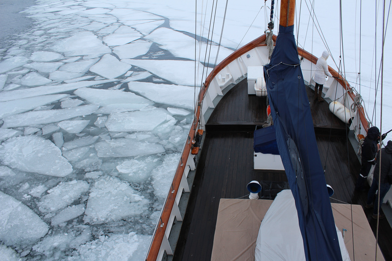 Tromsø : croisière en yacht dans le fjord gelé avec déjeuner