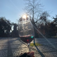 Santiago, Concha y Toro Ticket and Tour con degustación de vinos - Housity