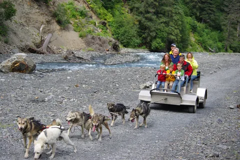 Seward: Summer Dog Sled Ride and Seavey Estate Tour