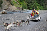Seward, Summer Dog Sled Ride en Seavey Estate Tour - Housity