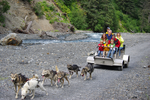 Seward: Summer Dog Sled Ride and Seavey Estate Tour 1:30 PM - Seward: Summer Dog Sled Ride and Estate Tour