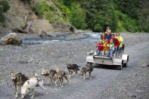 Seward: Summer Dog Sled Ride and Seavey Estate Tour