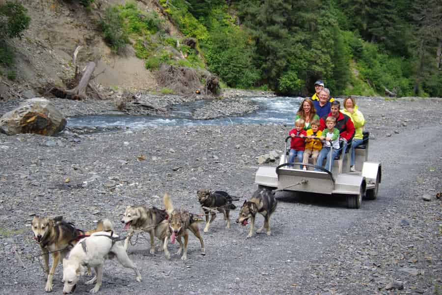 Seward: Sommer-Hundeschlittenfahrt und Seavey Estate Tour. Foto: GetYourGuide Seward: Sommer-Hundeschlittenfahrt und Seavey Estate Tour. Foto: GetYourGuide