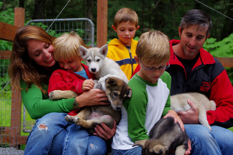 Seward: Summer Dog Sled Ride and Seavey Estate Tour 1:30 PM - Seward: Summer Dog Sled Ride and Estate Tour