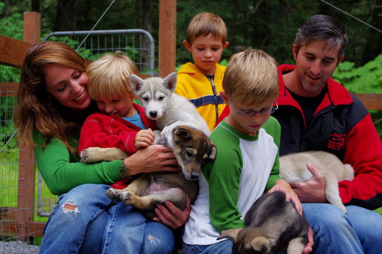 Seward: Summer Dog Sled Ride and Seavey Estate Tour 1:30 PM - Seward: Summer Dog Sled Ride and Estate Tour