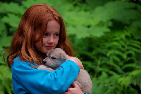 Seward: Summer Dog Sled Ride and Seavey Estate Tour 1:30 PM - Seward: Summer Dog Sled Ride and Estate Tour