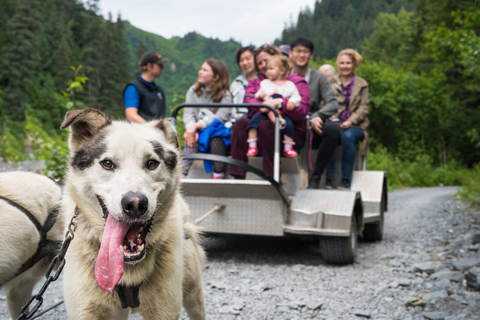 Seward: Summer Dog Sled Ride and Seavey Estate Tour 1:30 PM - Seward: Summer Dog Sled Ride and Estate Tour