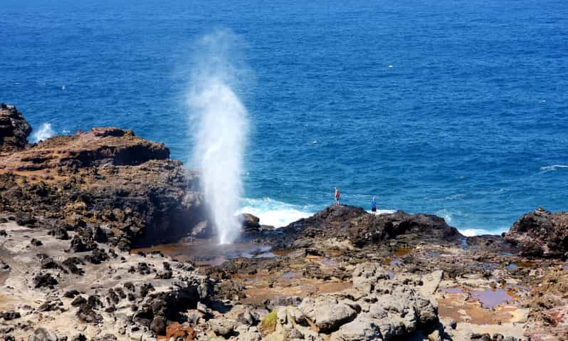 Oahu Oahu Ultimate Grand Circle Island Tour Getyourguide 