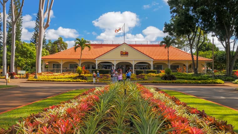 Die besten Aktivitäten in Haleiwa