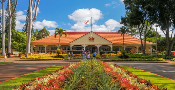 Oahu: Oahu Ultimate Grand Circle Island Tour
