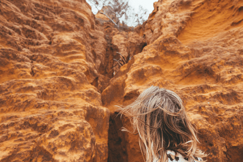 من خليج هيرفي: جولة بالحافلة لمدة يوم كامل من كجاري إلى جزيرة فريزرمن خليج هيرفي: جولة سياحية ليوم ك