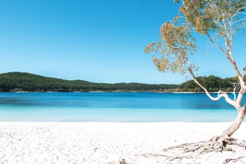 Depuis Rainbow Beach : excursion en autocar de deux jours à K'gari, île Fraser