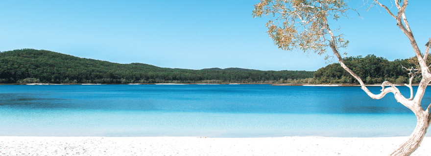 Depuis Rainbow Beach : excursion en autocar de deux jours à K'gari, île Fraser