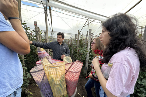 From Quito: Rose Plantation and Otavalo Tour includes ticket Rose Plantation and Otavalo Private Tour