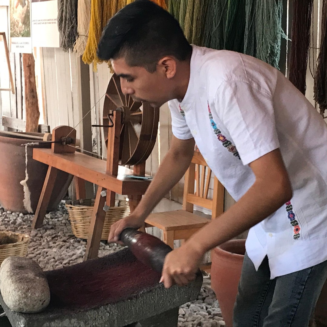 Galería de fotos para redes