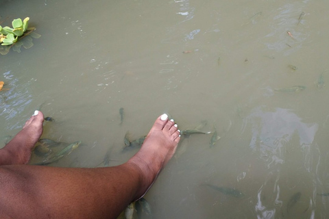 Santa Lucía: visita a las cataratas de La Tille y masaje de pies con peces