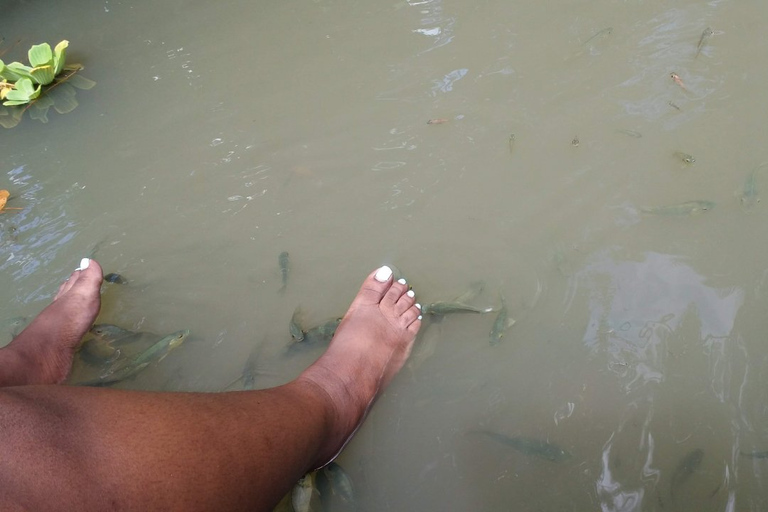 Santa Lucía: visita a las cataratas de La Tille y masaje de pies con peces