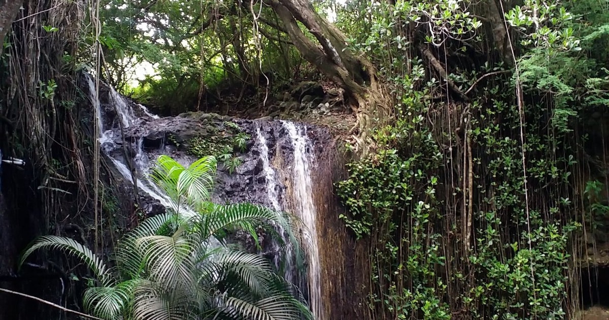 Saint Lucia La Tille Falls Visit and Fish Foot Massage GetYourGuide