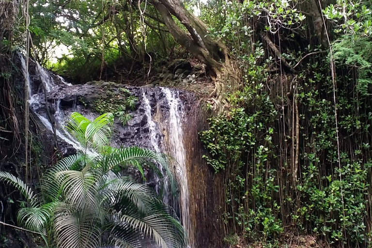 Santa Lucía: visita a las cataratas de La Tille y masaje de pies con peces